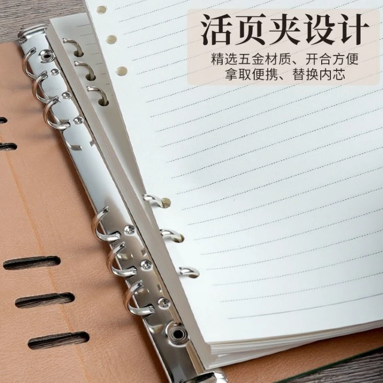 Loose-Leaf notebook for work product view 5